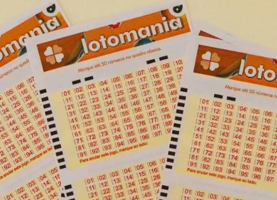 Lotomania: confira o resultado do concurso 2991 sorteado nesta sexta-feira (23)