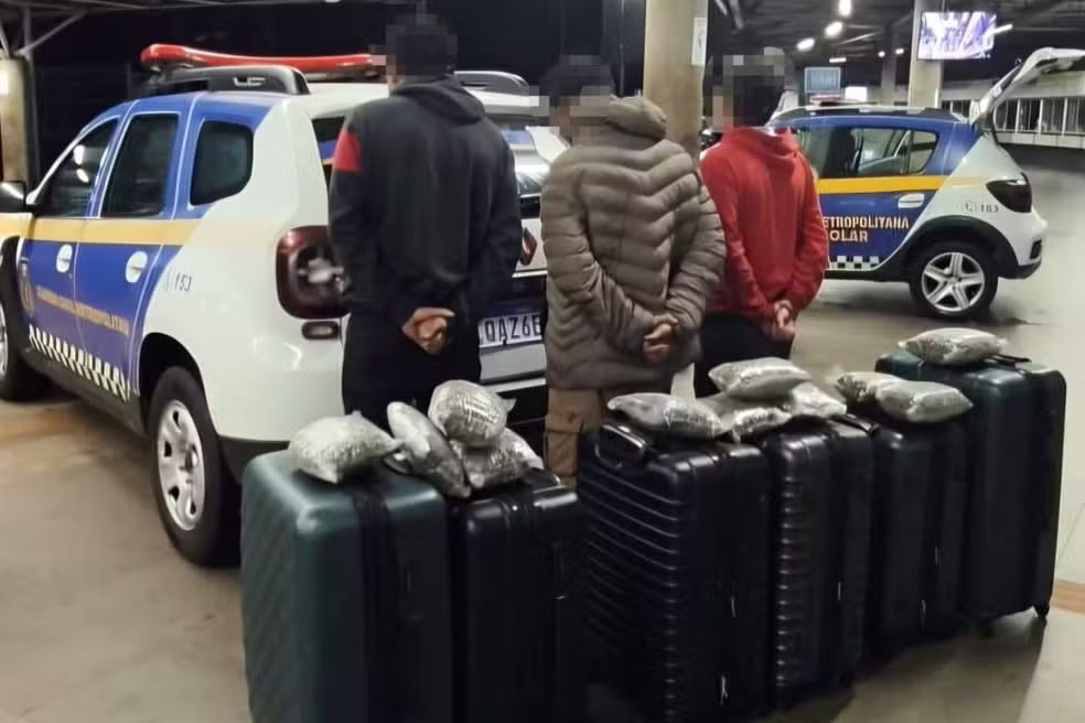 Quase 92 kg de maconha são apreendidos em malas na rodoviária