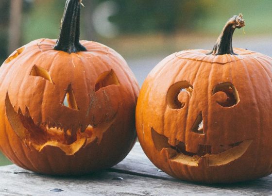 Por que a abóbora é um símbolo do Halloween? Entenda a tradição