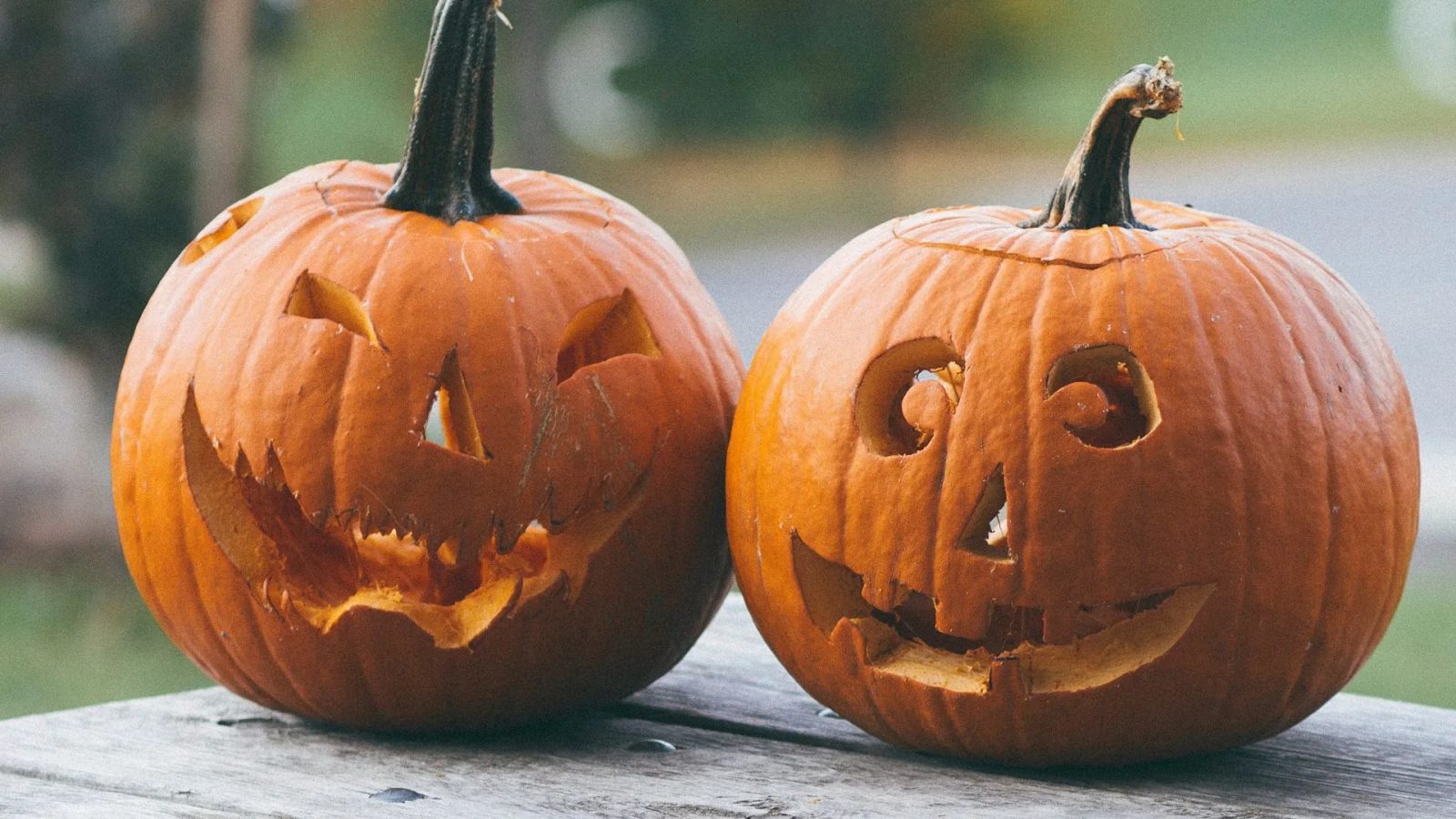 Por que a abóbora virou o grande símbolo do halloween? conheça a lenda