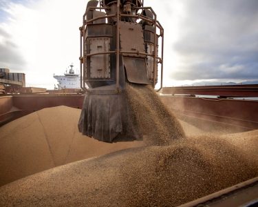 Preço da soja registra nova alta no porto de Paranaguá