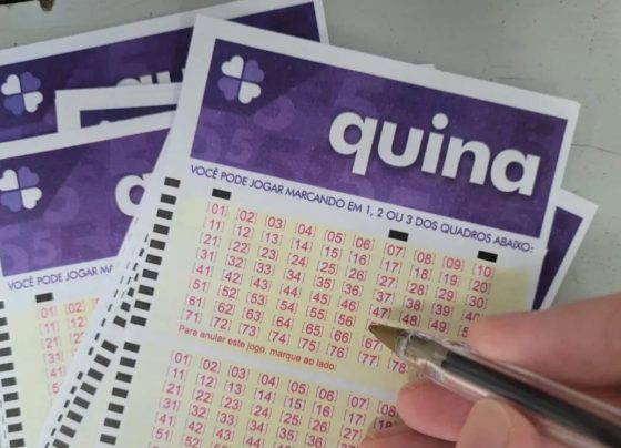 Quina hoje, concurso 7152: confira o resultado sorteado nesta segunda (26)