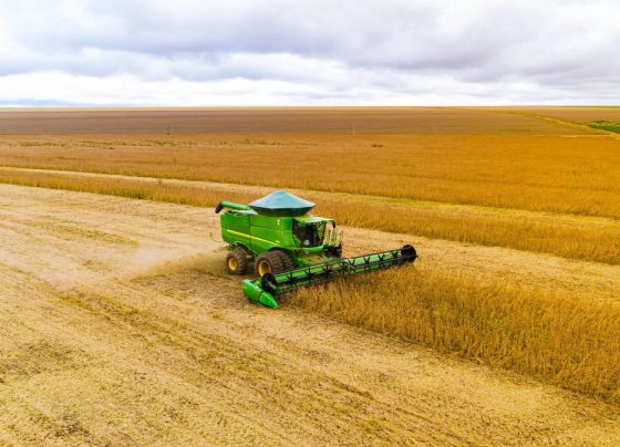 Saldo devedor do agro bateu recorde em agosto
