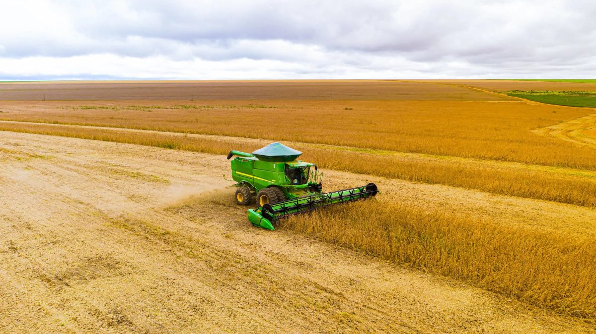 Crédito rural tem saldo devedor recorde e chega a R$ 48 bilhões em agosto