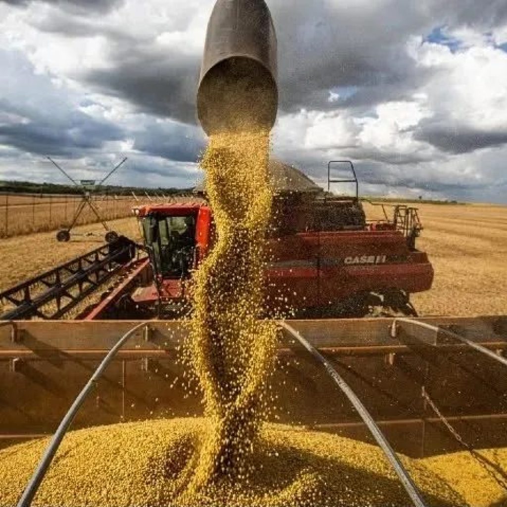 Soja virou a principal cultura do agro nordestino, diz levantamento