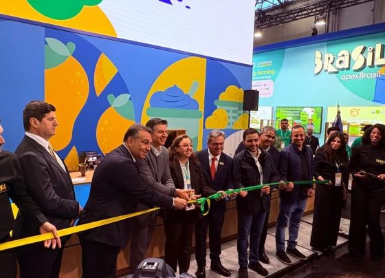 União Europeia deve decidir em novembro sobre exportações de aves e mel do Brasil